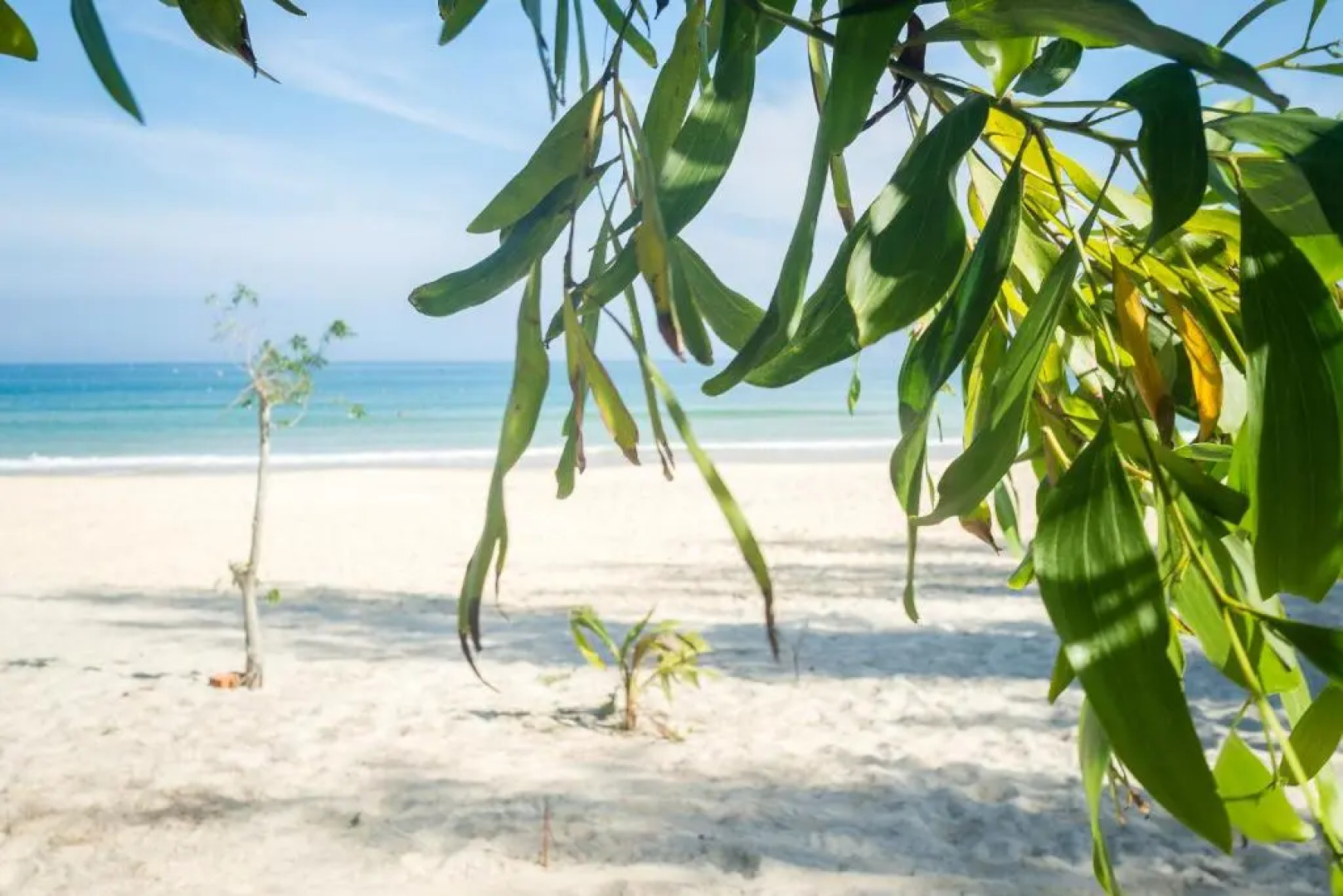 Timothe Beach Bungalow