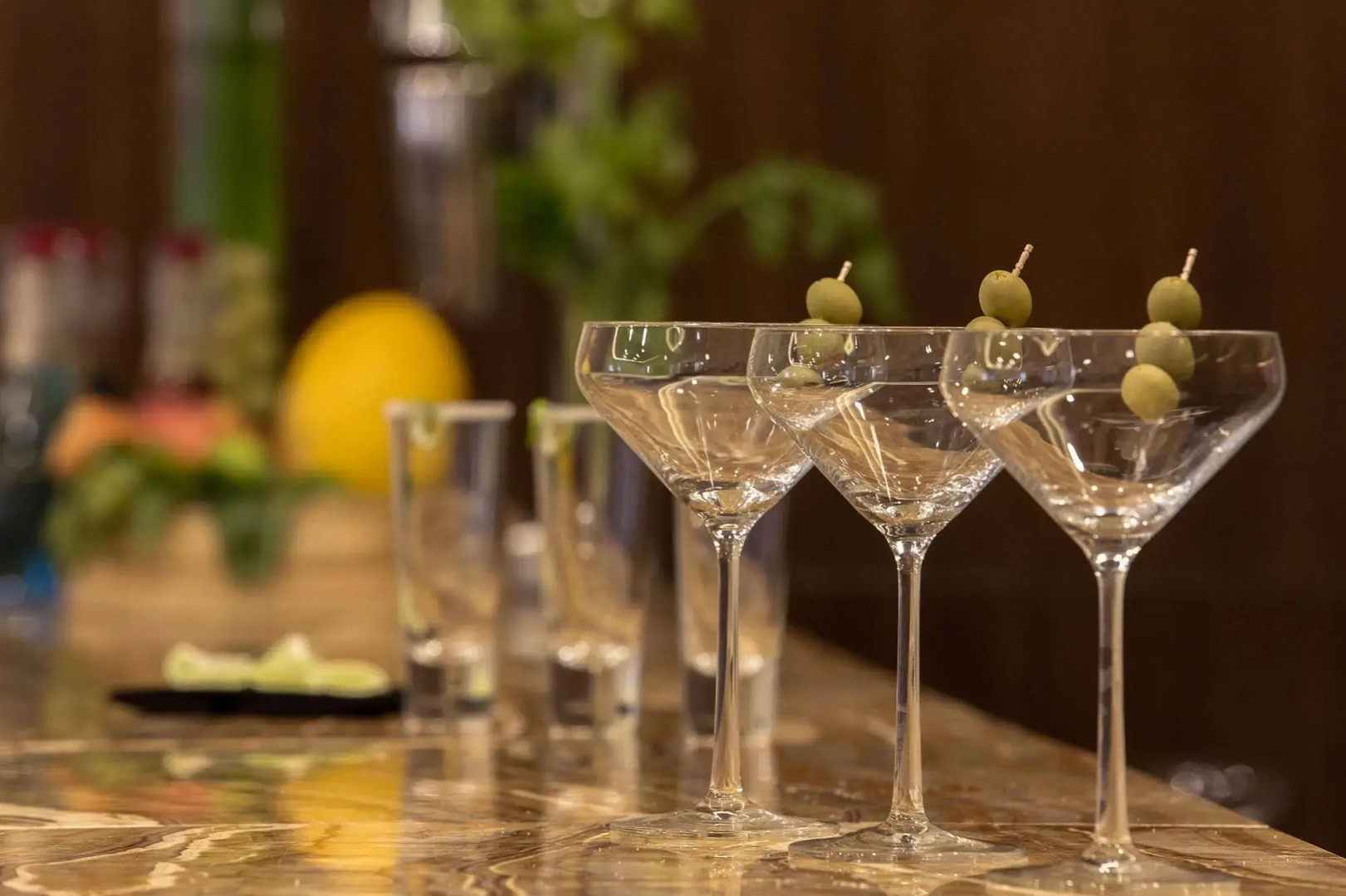 The Westin Pushkar Resort & Spa