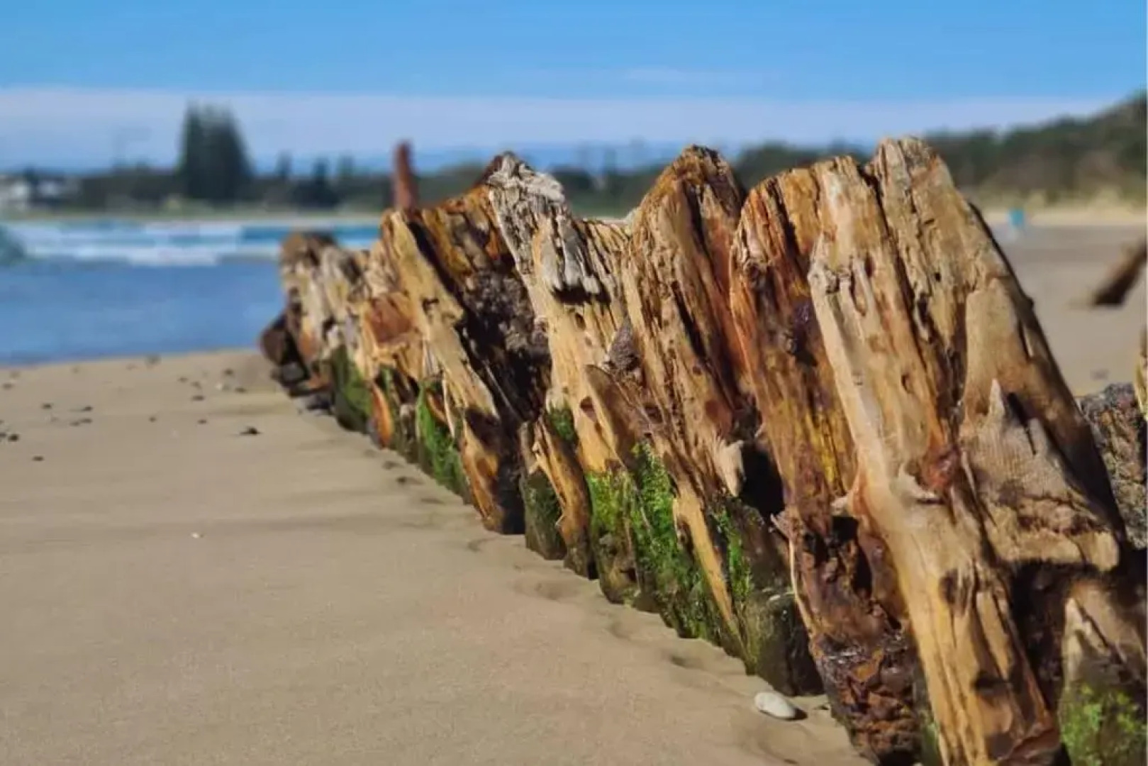 Abode On Market in the heart of Woolgoolga