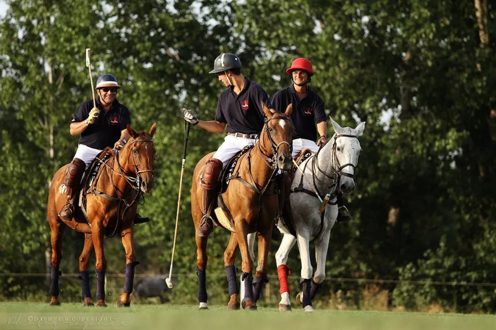 San Marco Montpellier Polo