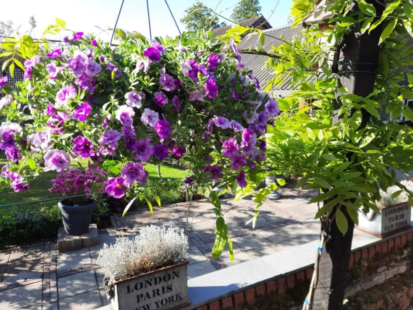 Anneke's Bed en Botterhammeke