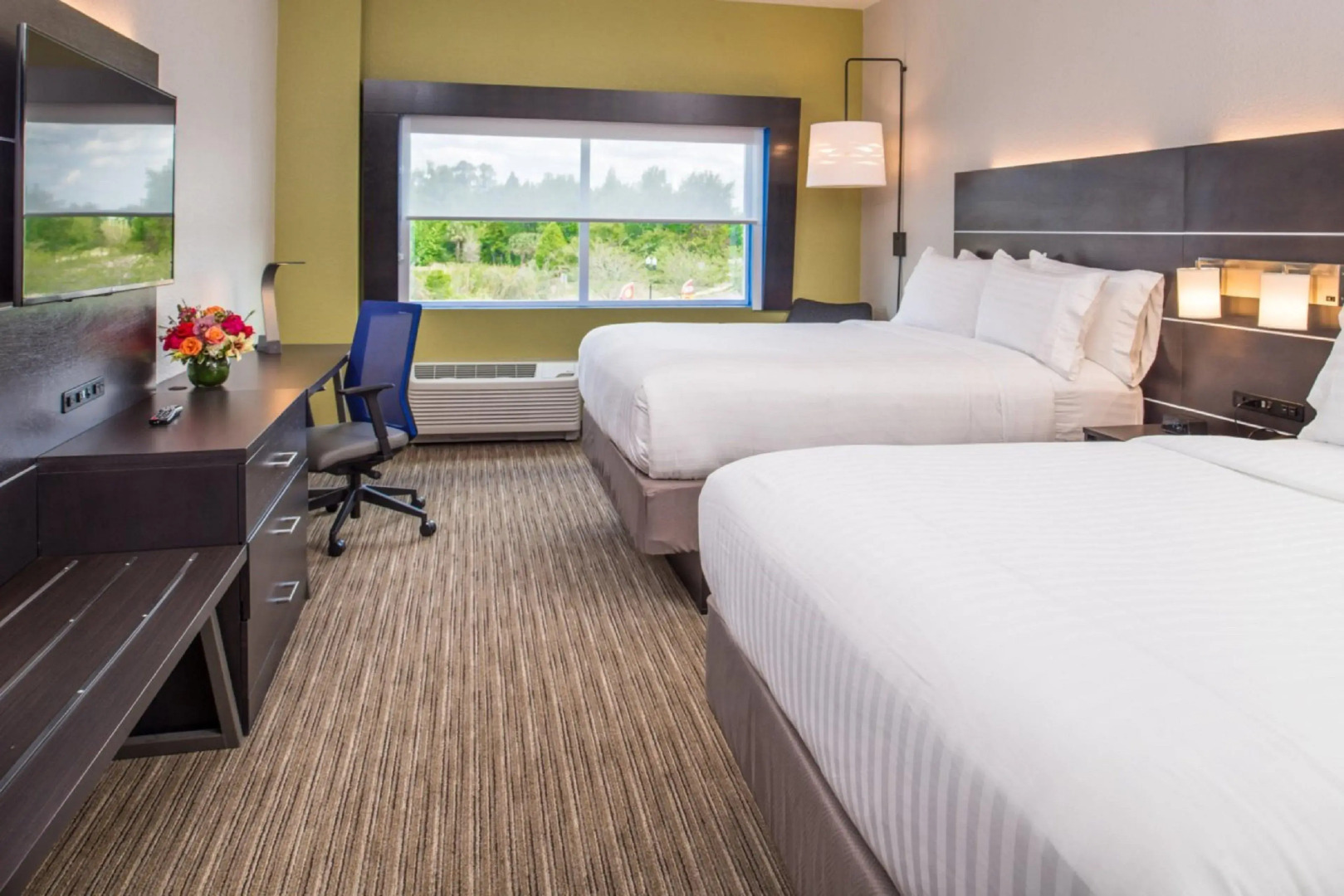 Holiday Inn Express & Suites Tampa North - Wesley Chapel by IHG