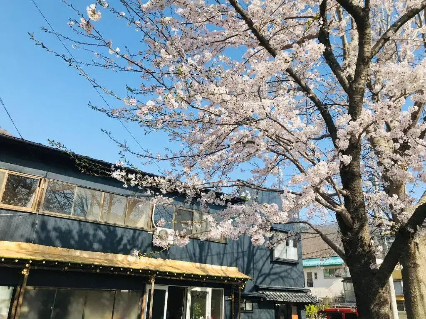 おせっかいゲストハウス 昭和の寅や