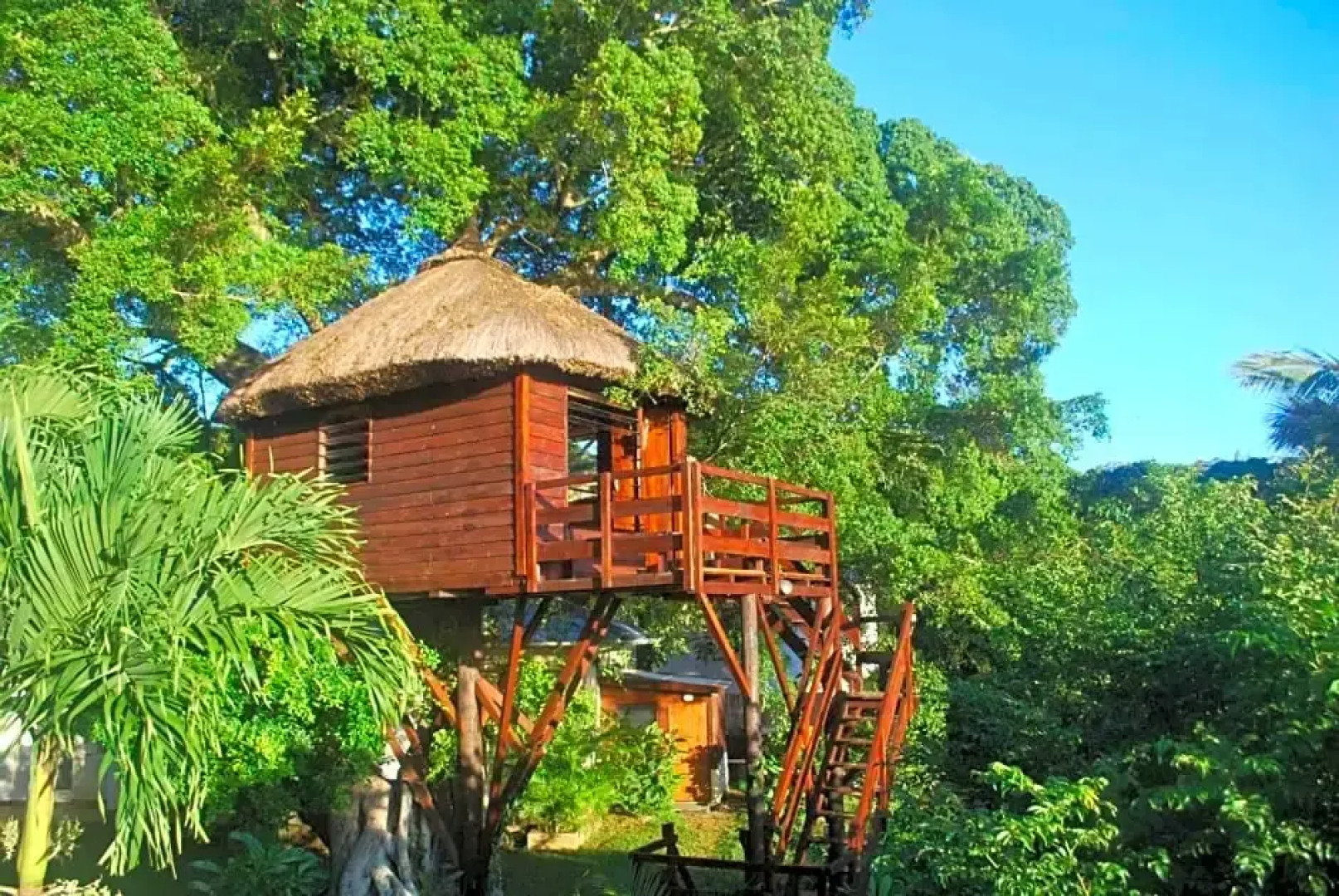 Tree Lodge Mauritius