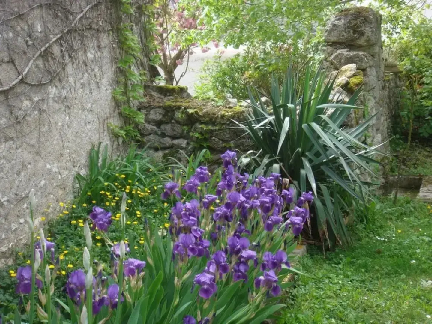 Le Presbytère - Chambres d'hôtes