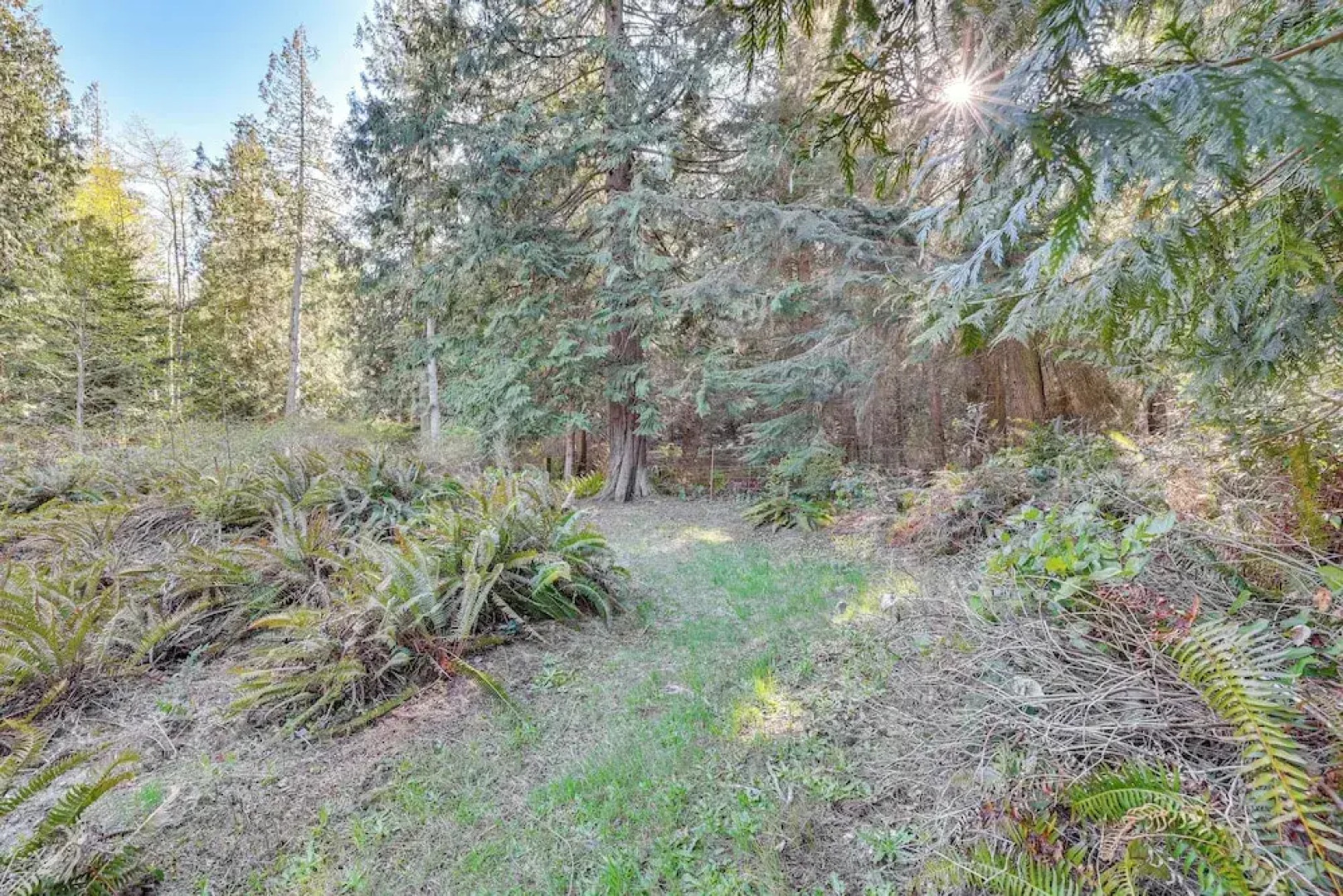 Secluded Port Townsend Retreat: Pets Welcome!