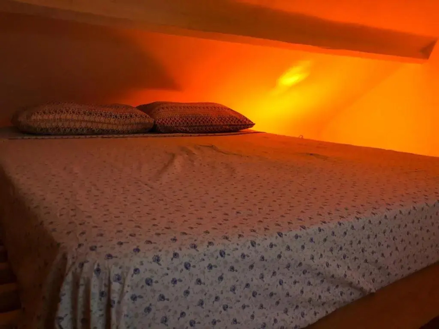 HOME SWEET HOME in the green lung of Brussels