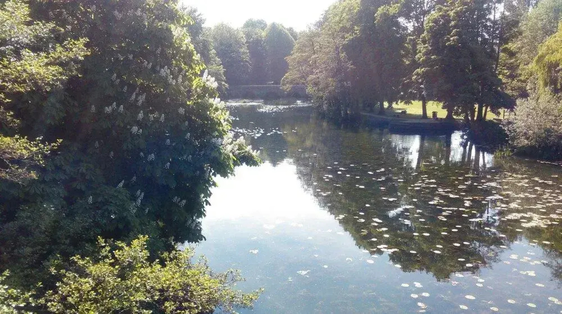 The Kings Arms Hotel