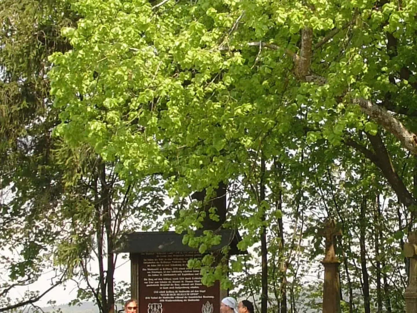 Cozy Apartment in Wilsecker near Forest