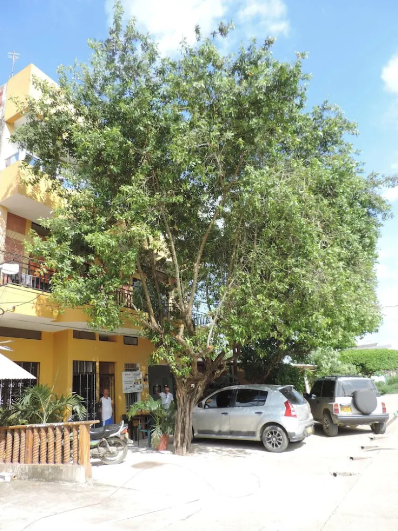 Casa Hotel Gechalon - Su Hogar