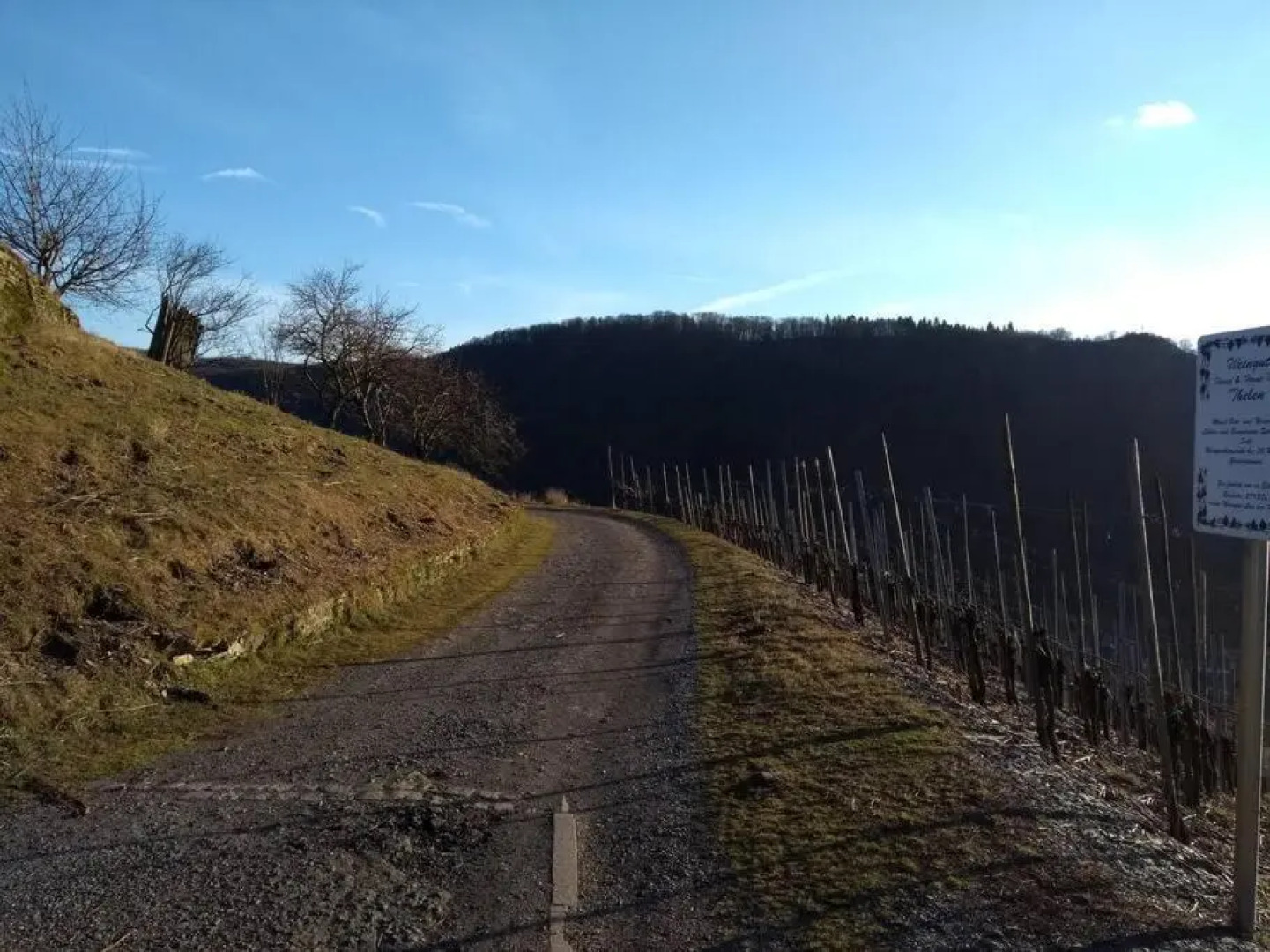 luxury holiday home in Cochem for 14 people