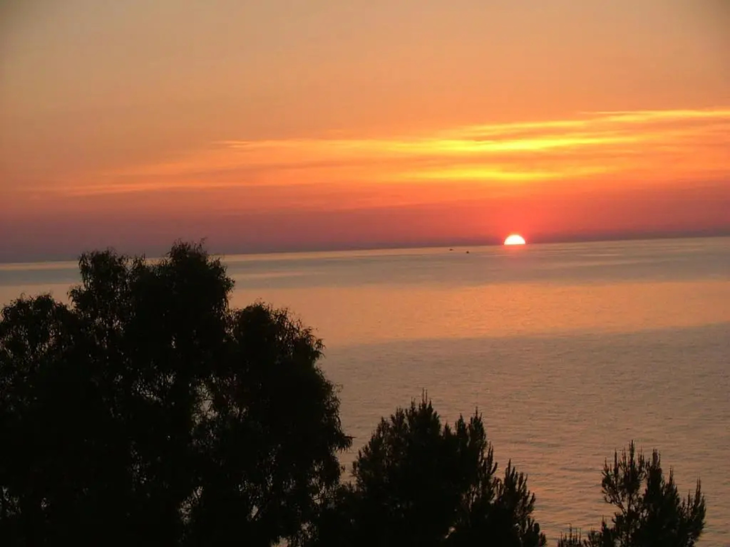 Tusa Gold Sunset