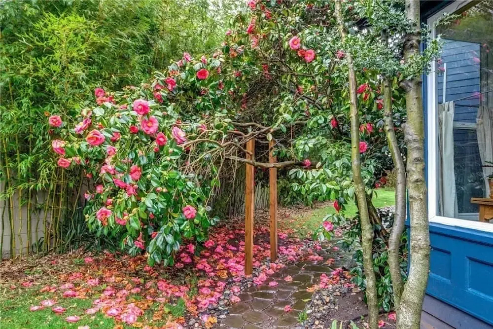 Upstairs at Thevictorian - Lush Walkable and Dog-friendly Retreat - Steps From Downtown Bellingham