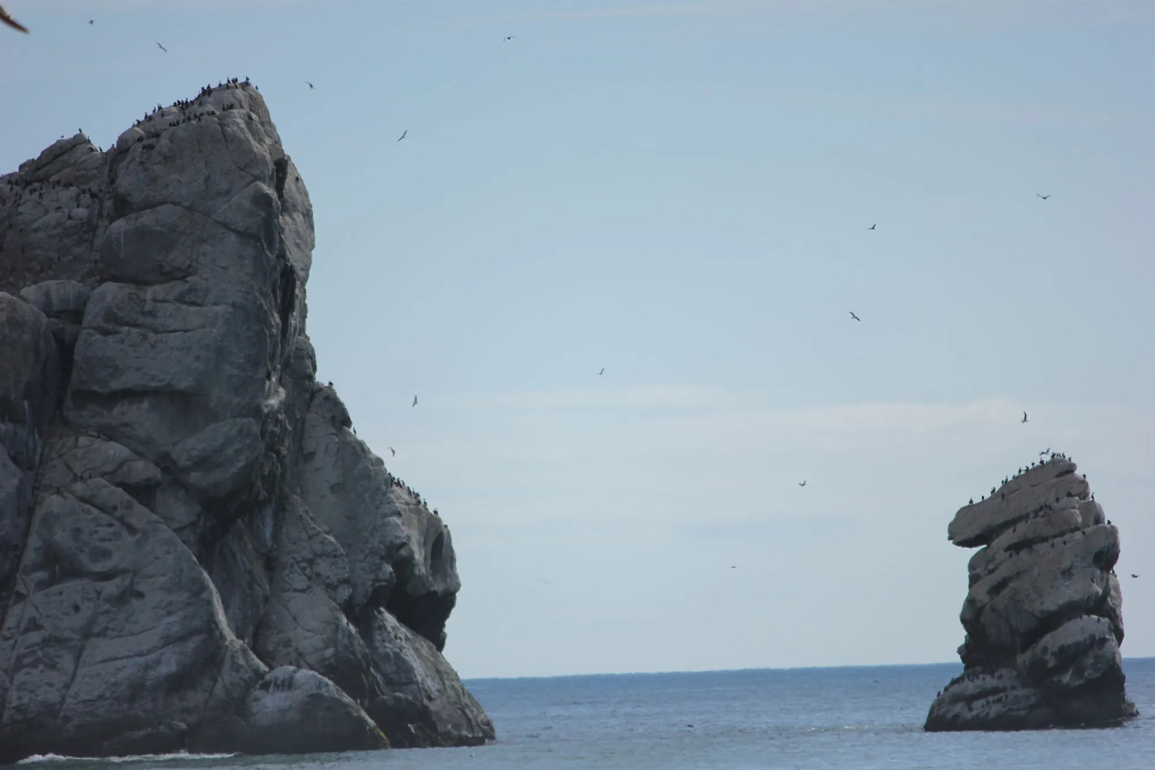 Morro Shores Inn And Suites