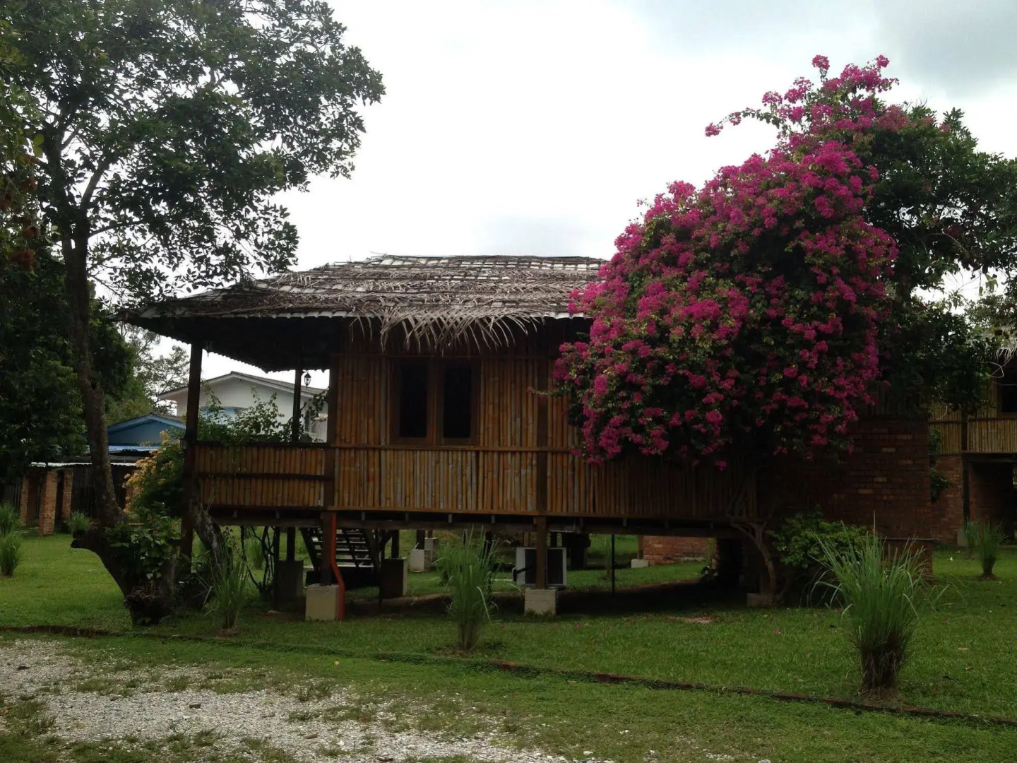 The Roots Eco Resort