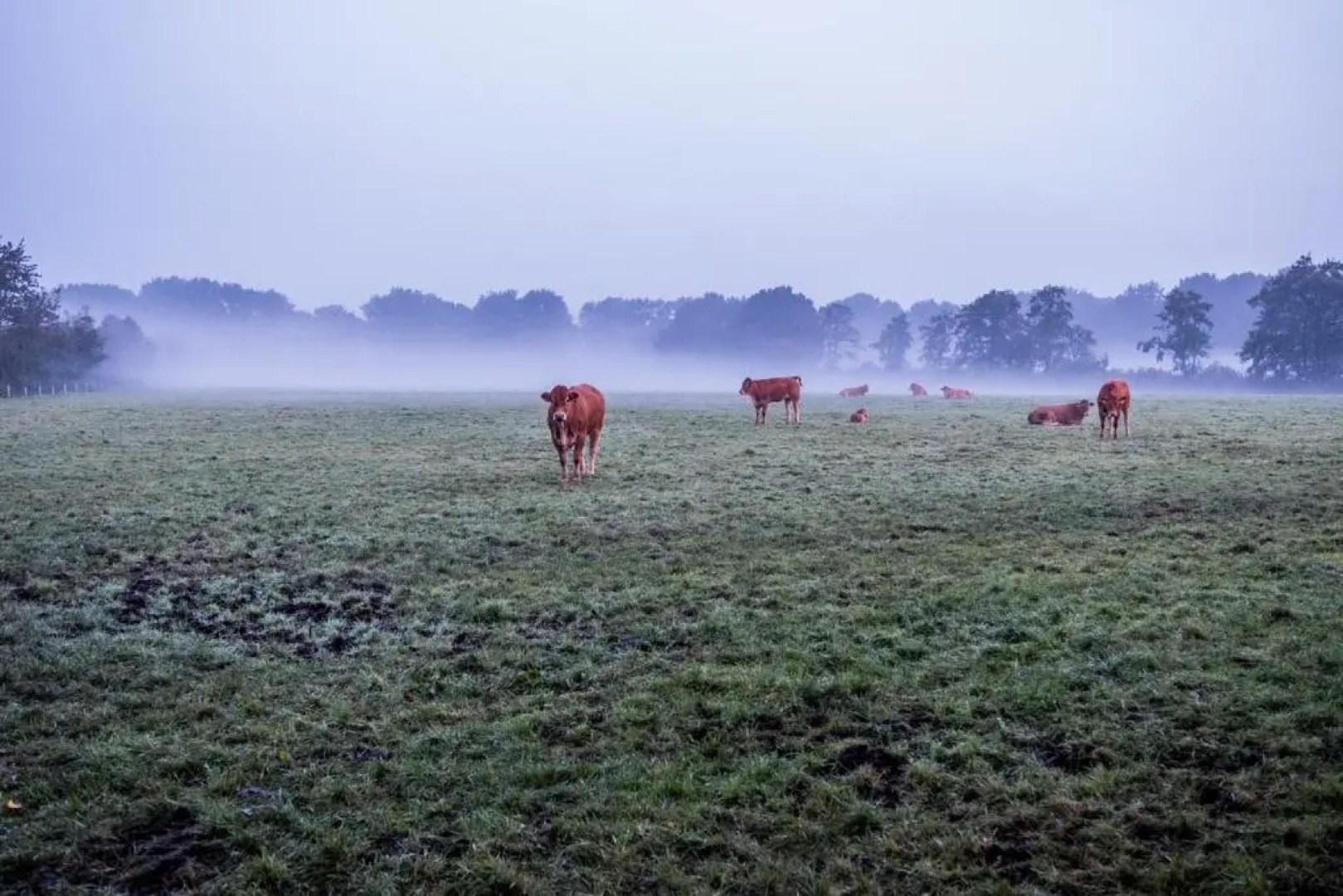 Het Findament Tiny house
