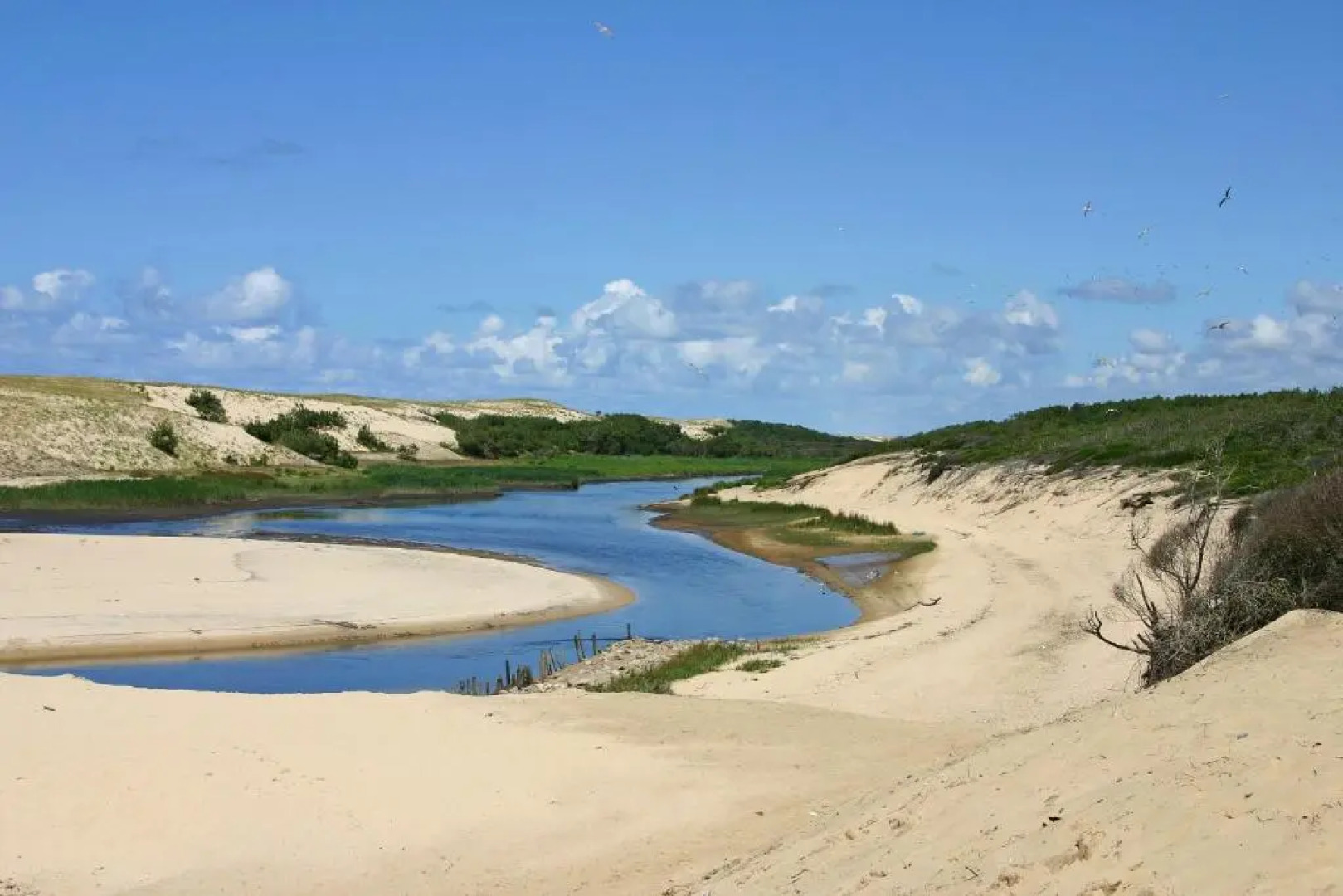 LE HAMEAU DES VAGUES 4-5 PERS Piscines et Nature à MOLIETS
