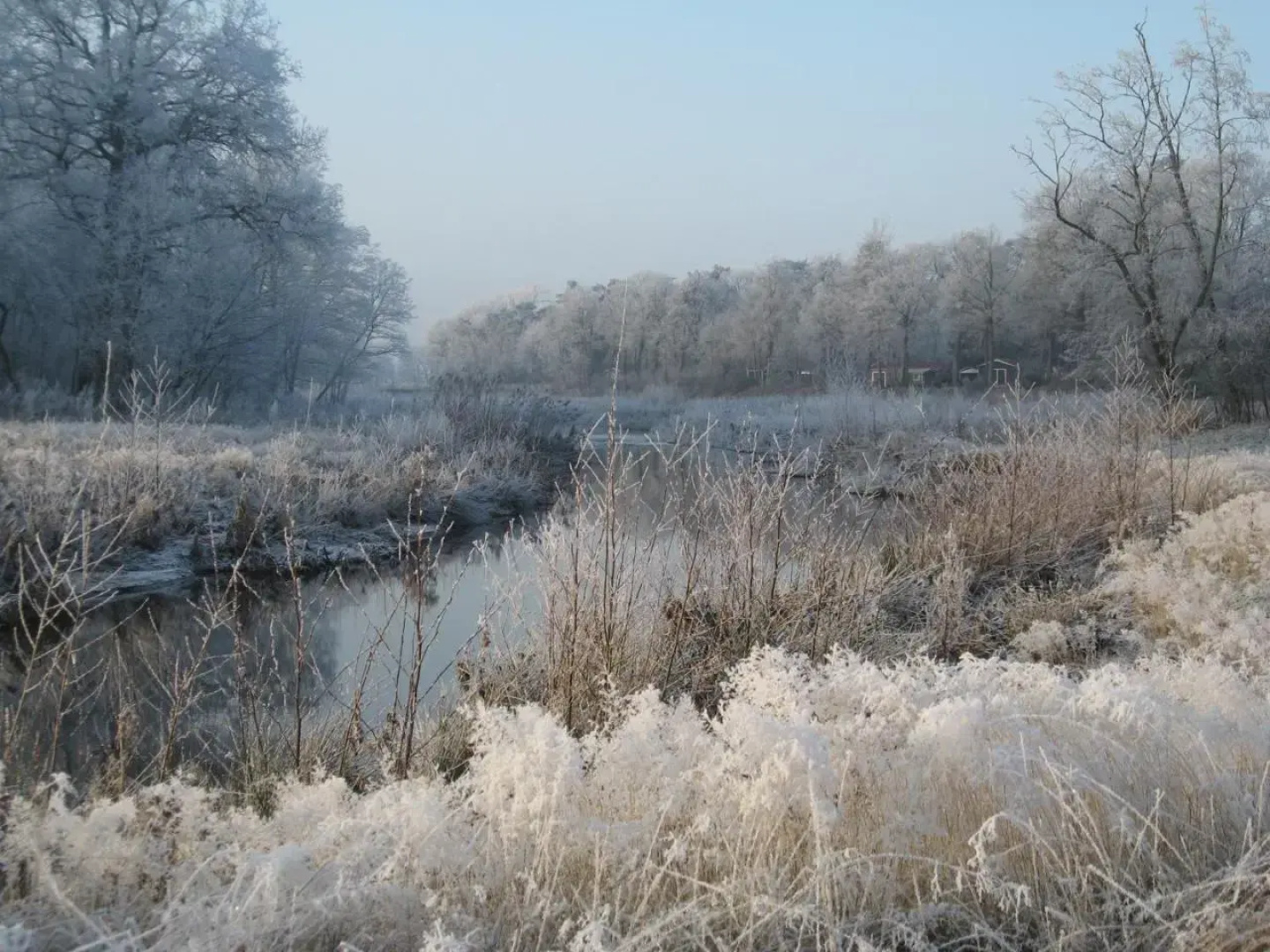 Natuurlogies Buurse Buiten