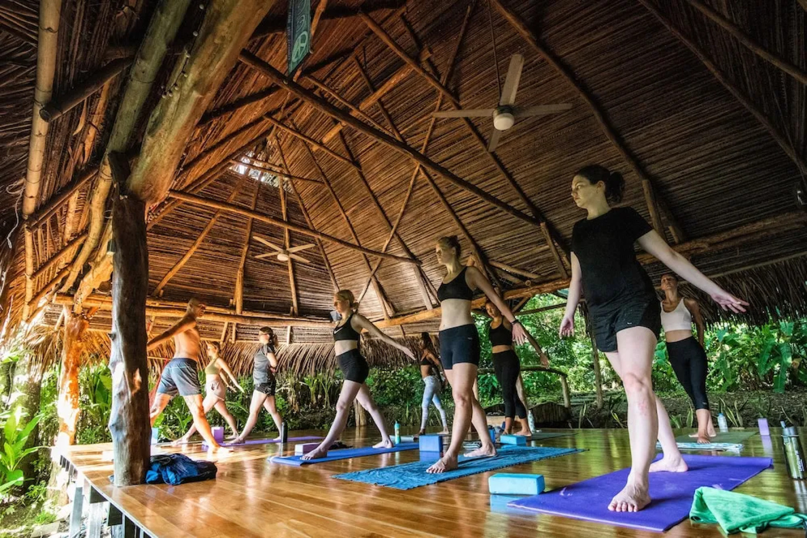 Jungle Lodge at Wild Sun Rescue