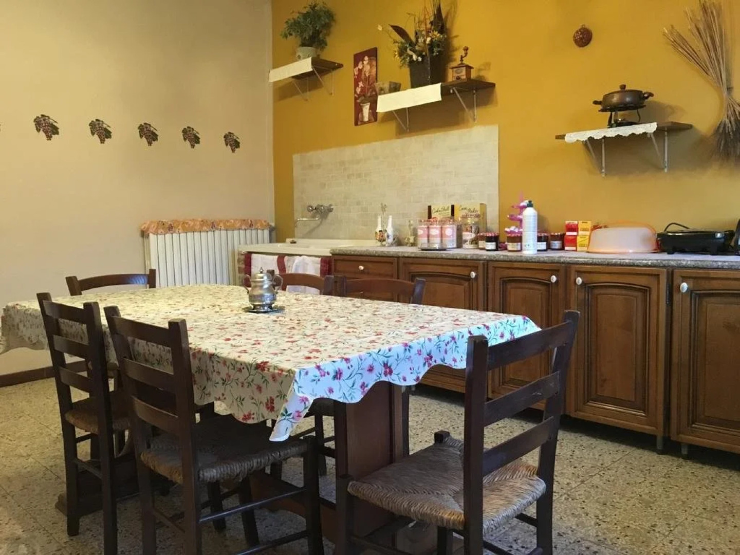 La Rosa Tra Le Vigne