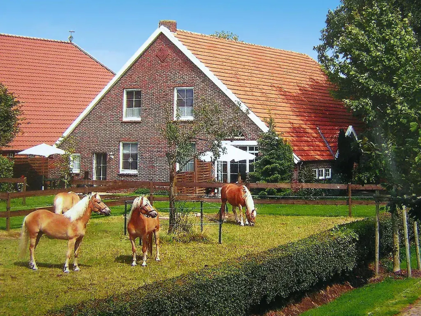 Terraced house in Strackholt with terrace