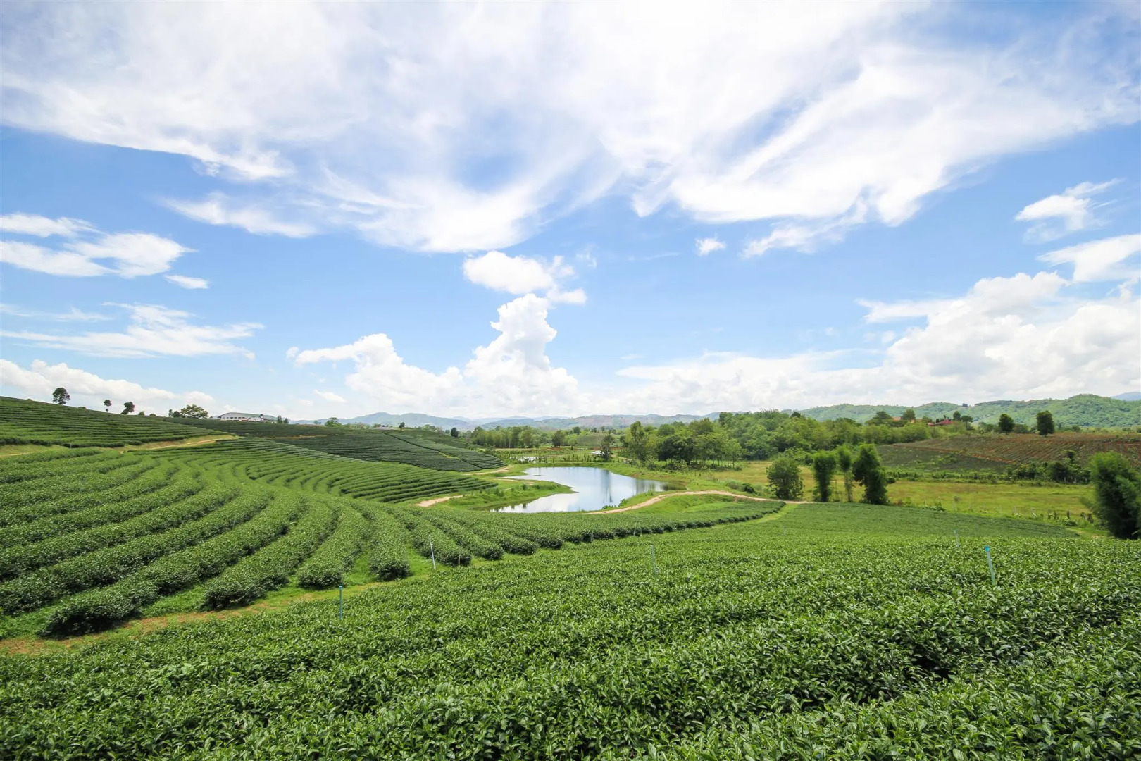 Saneh Maechan Coffee Home