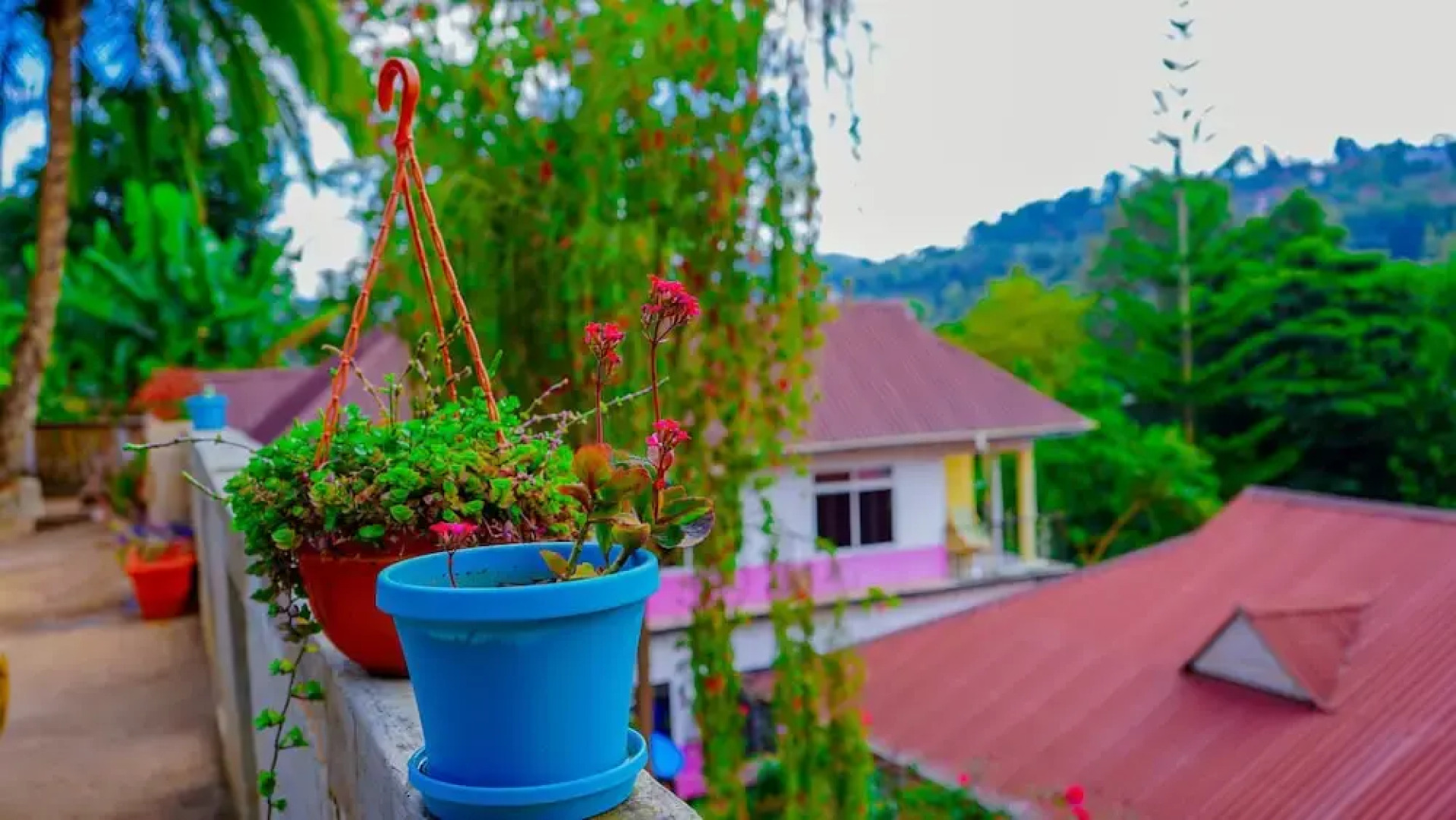 Lushoto Views Cottage