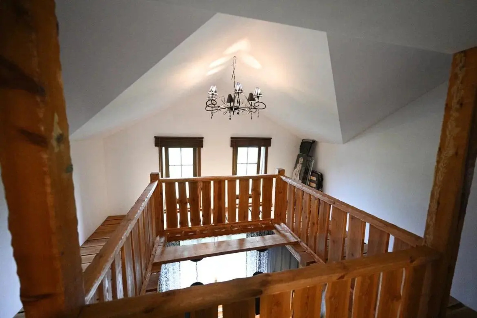 Снежные Гуси Новоснежная