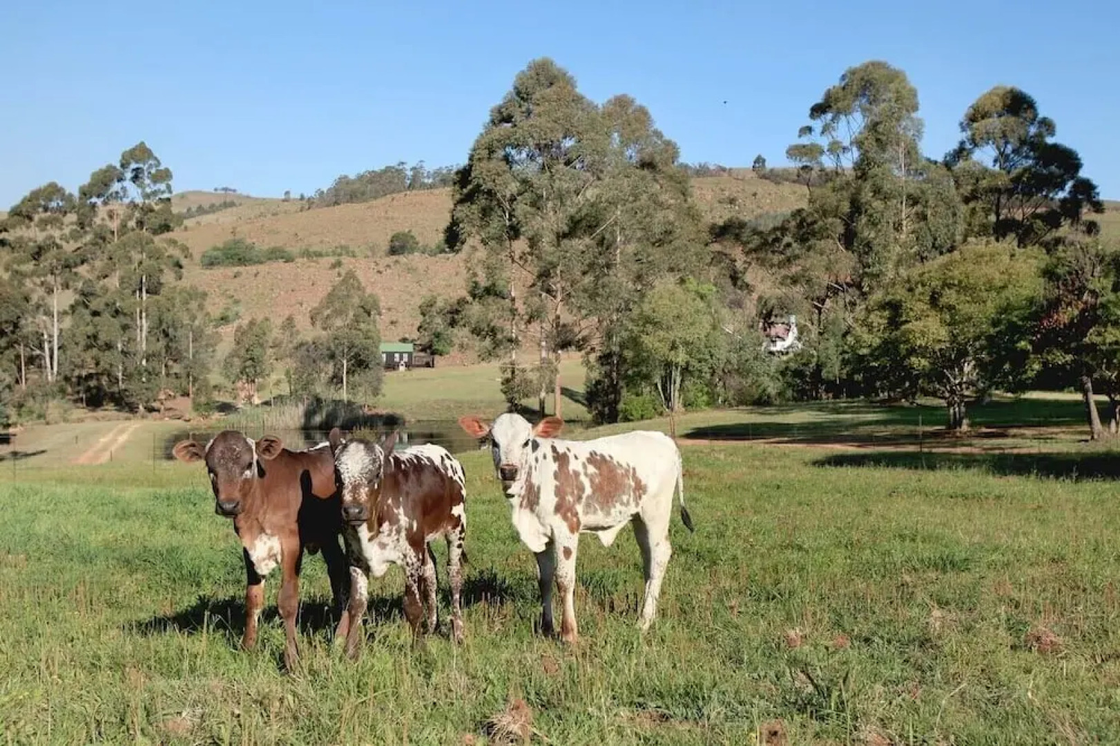 Troutways Private Retreat