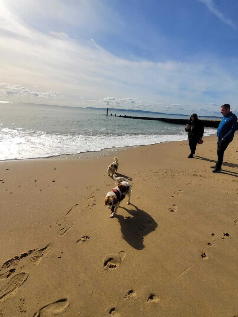 New Forest 2-bed Premium Holiday Home, New Milton