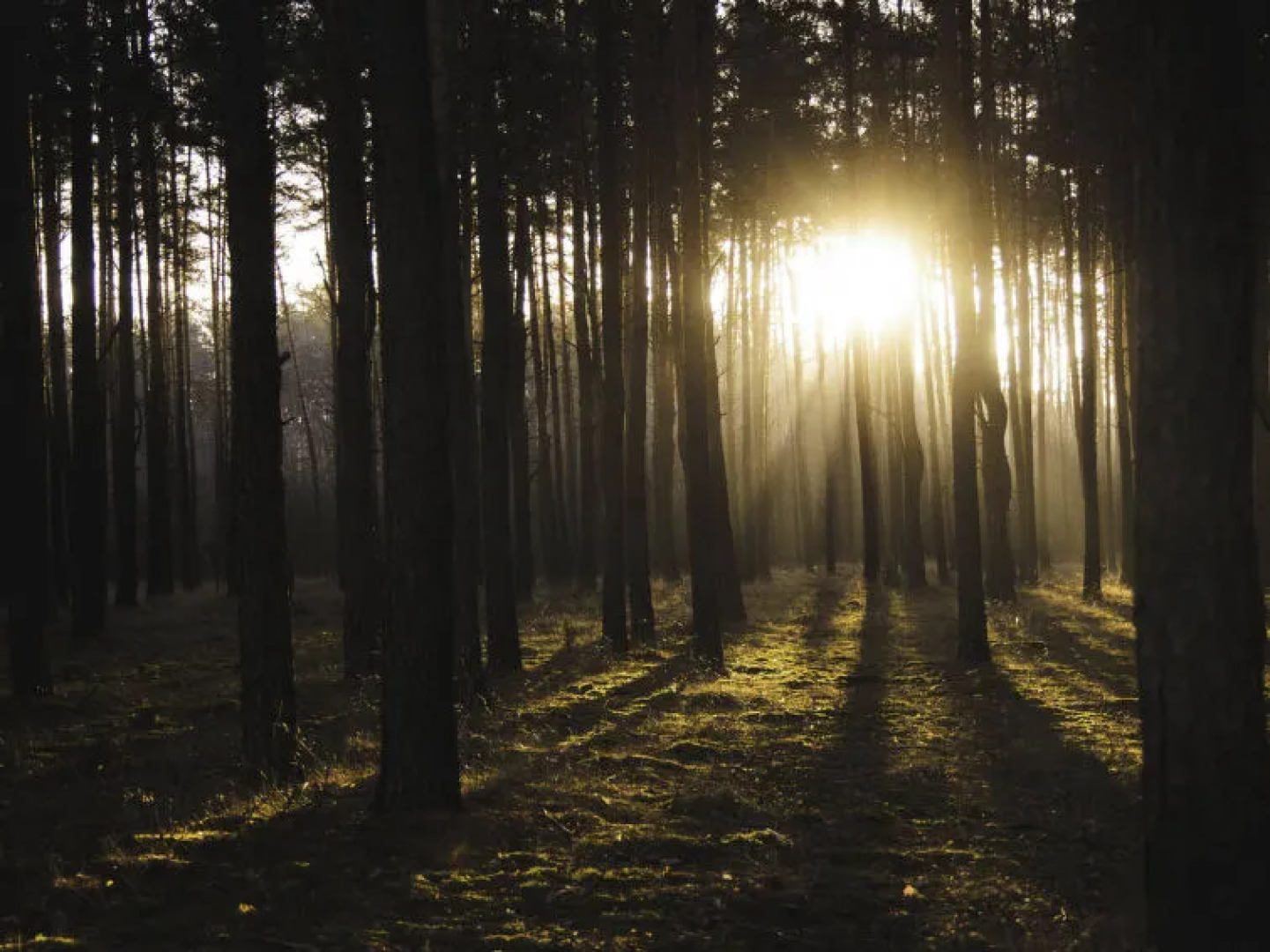 Stara Wieś Resort & Odnowa