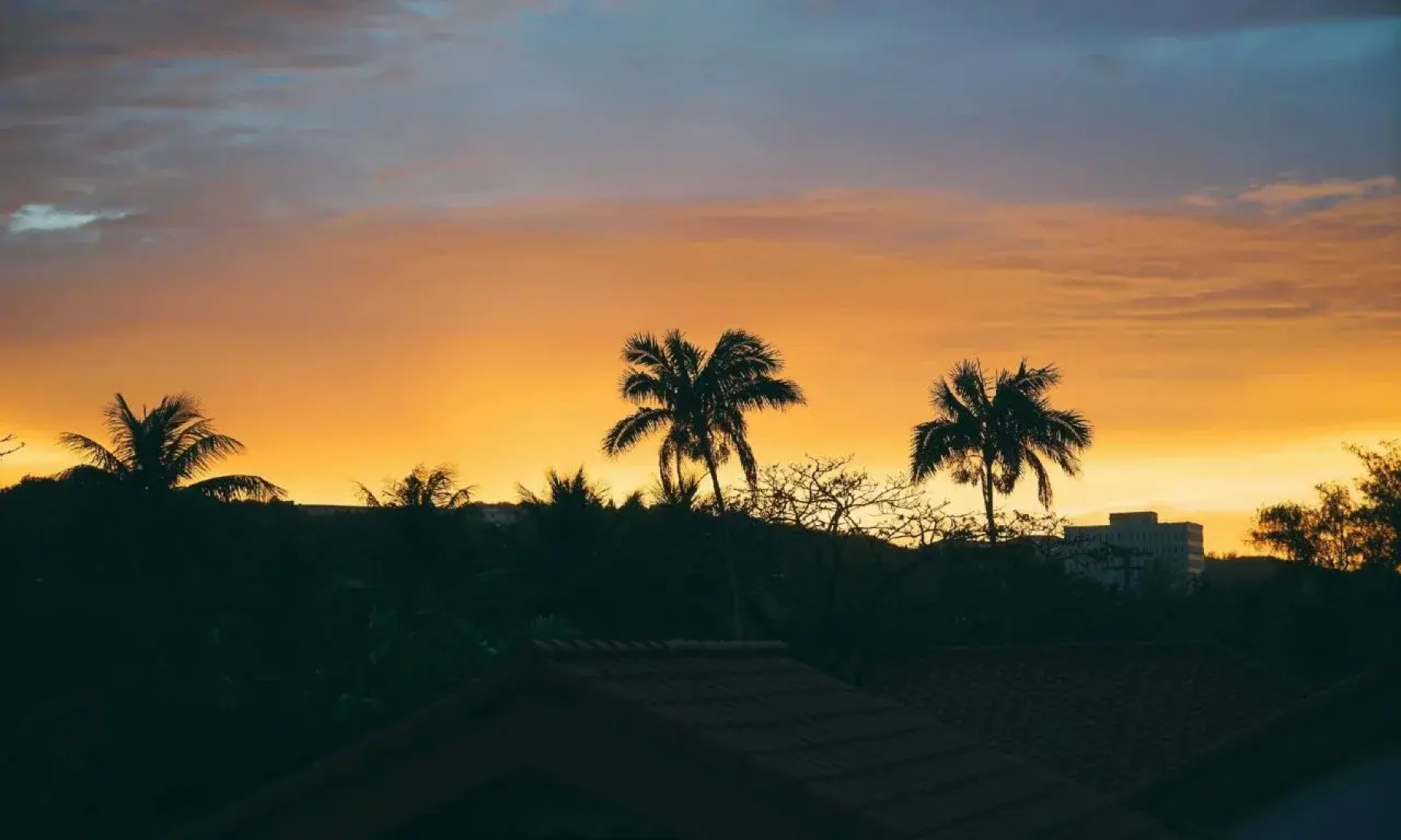 Travelers Bed and Rest