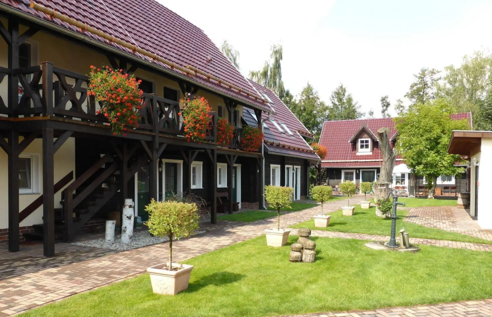 Pension Zum Schlangenkoenig