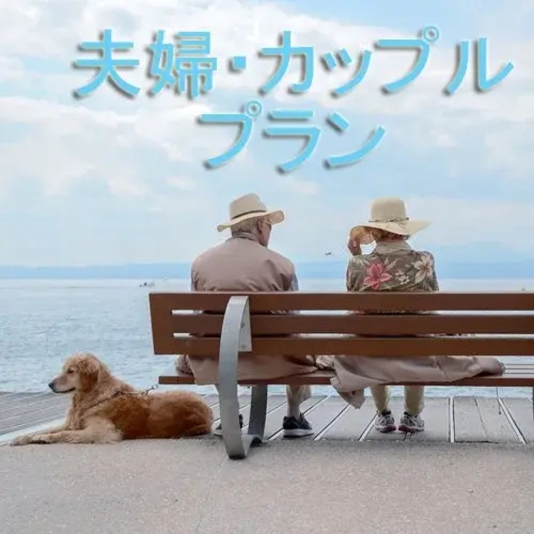 Saginoyu Onsen Yumeland Shirasagi