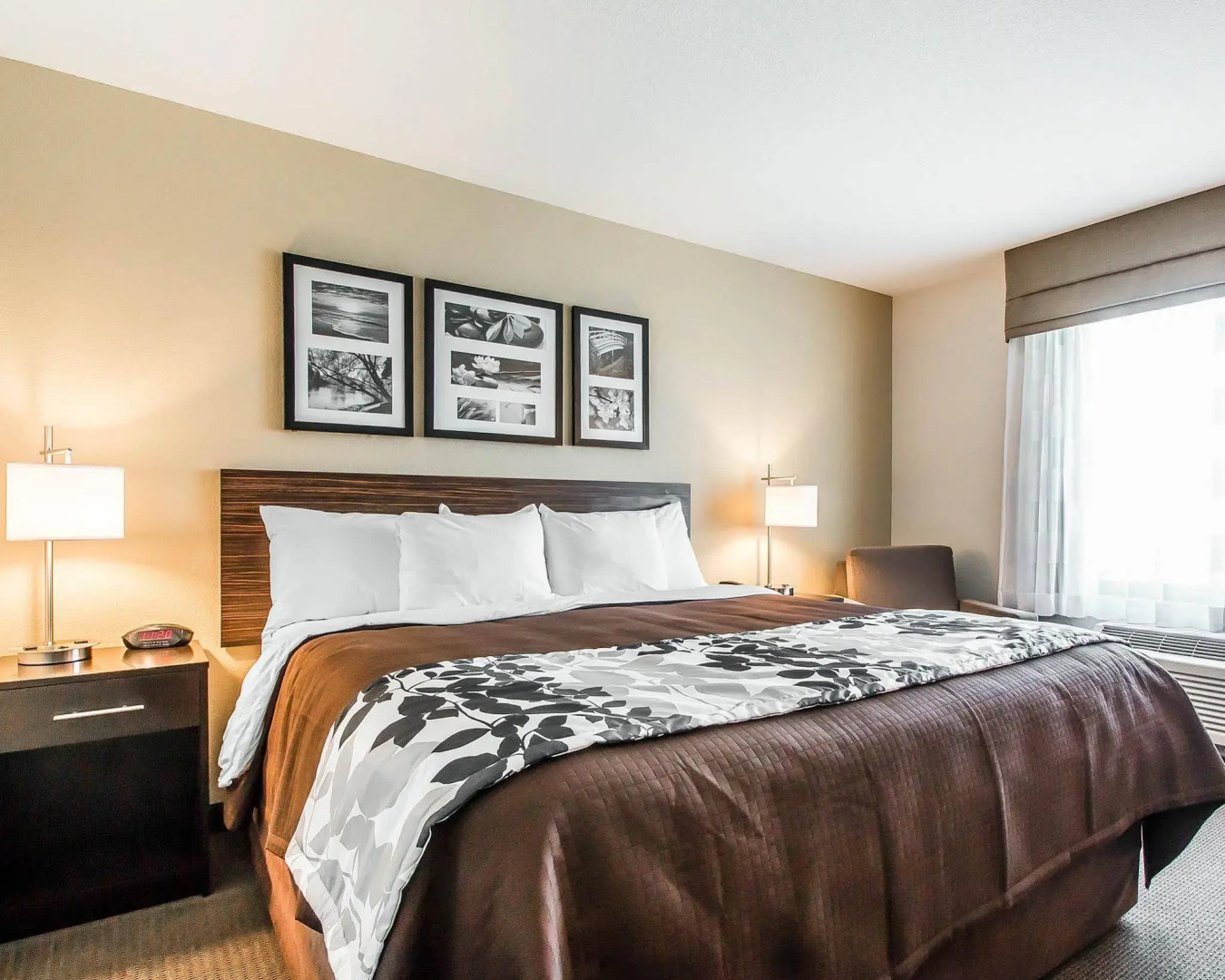 Sleep Inn & Suites Hannibal West