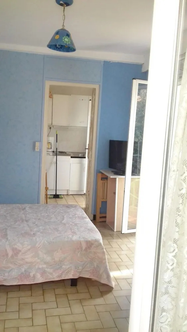 Apartment With one Bedroom in Amélie-les-bains-palalda, With Wonderful Mountain View, Furnished Balcony and Wifi