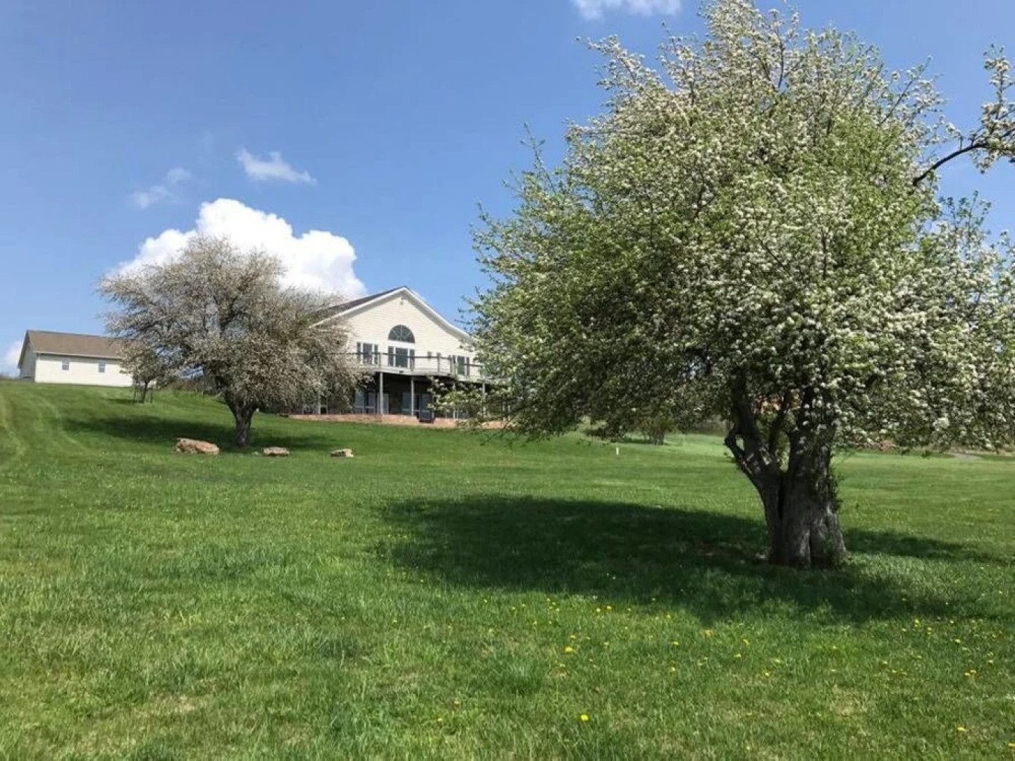 Mountain Lake Paradise