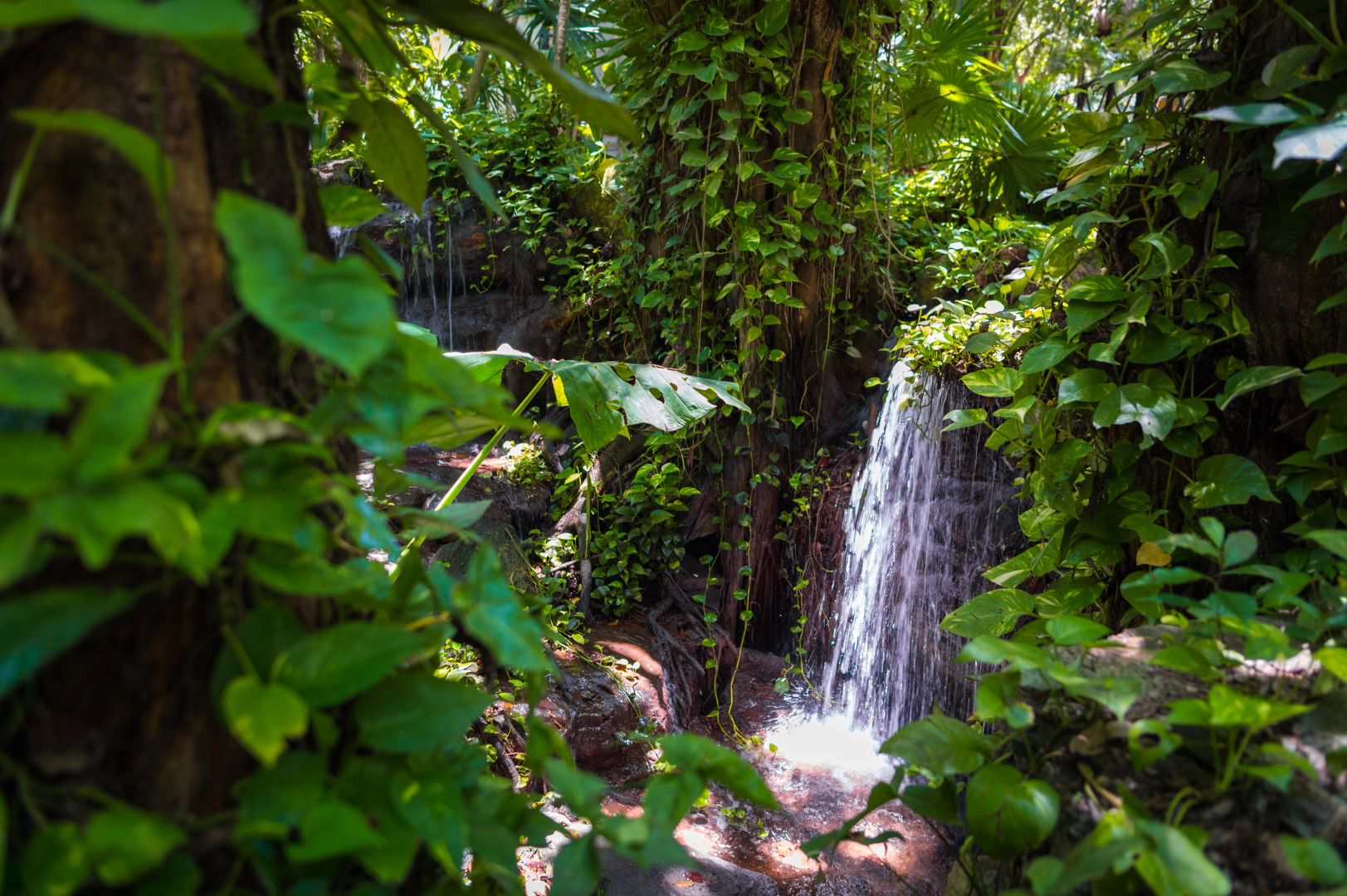 The Reef Playacar Beach Resort & Spa
