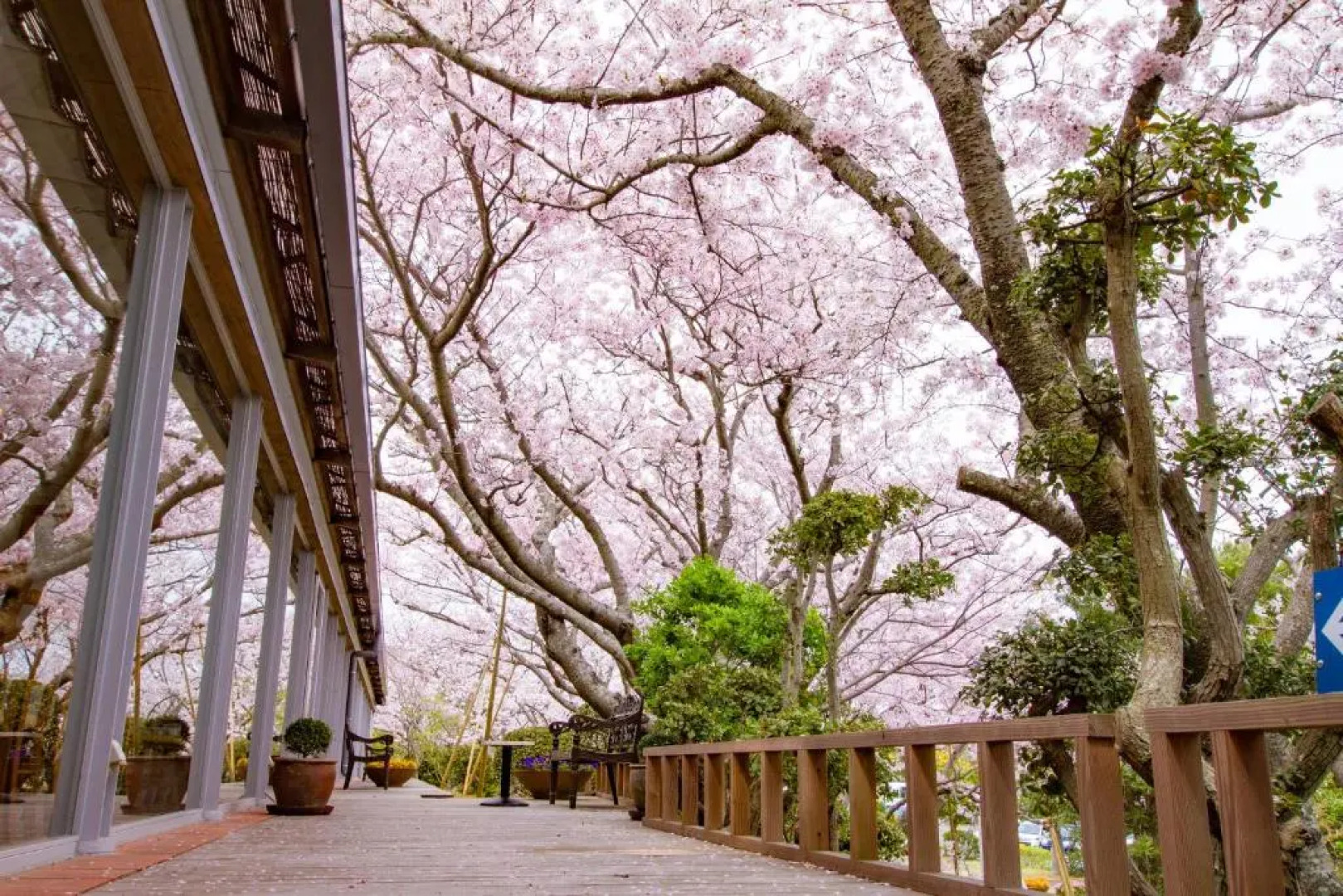 Resort Hotel Moanacoast