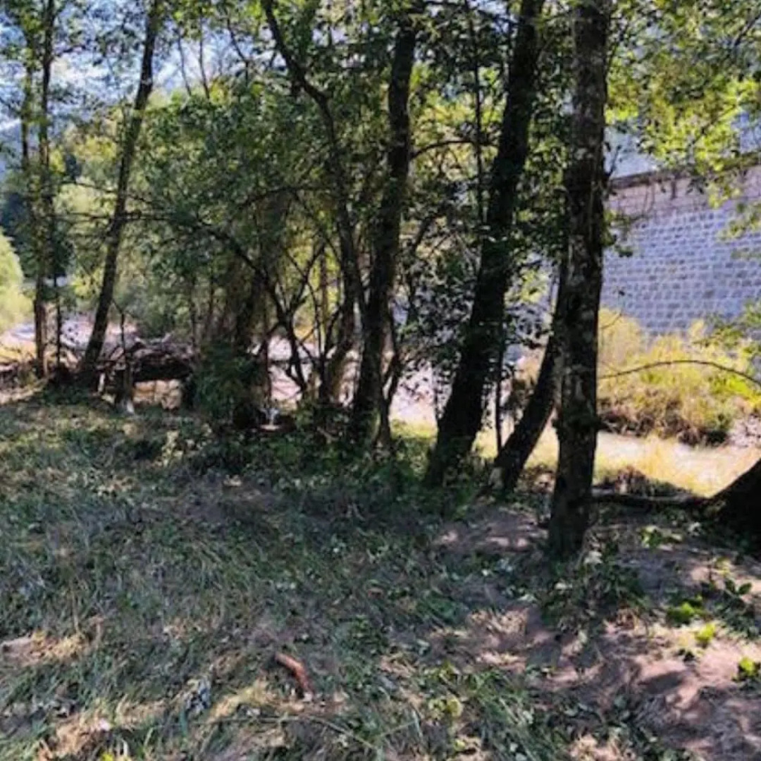 Woodpecker s Chalet in Tem