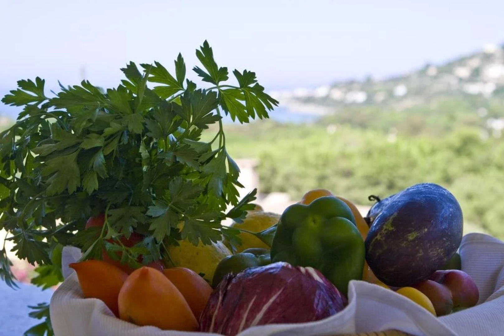 Complesso Il Saraceno