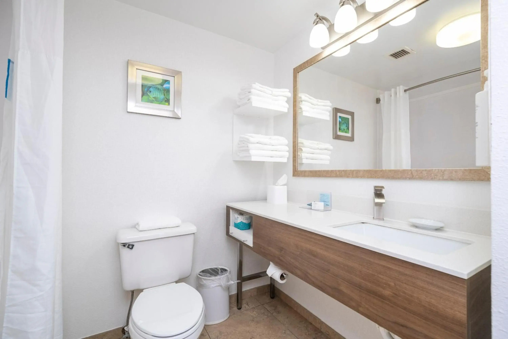 Hampton Inn Spring Hill