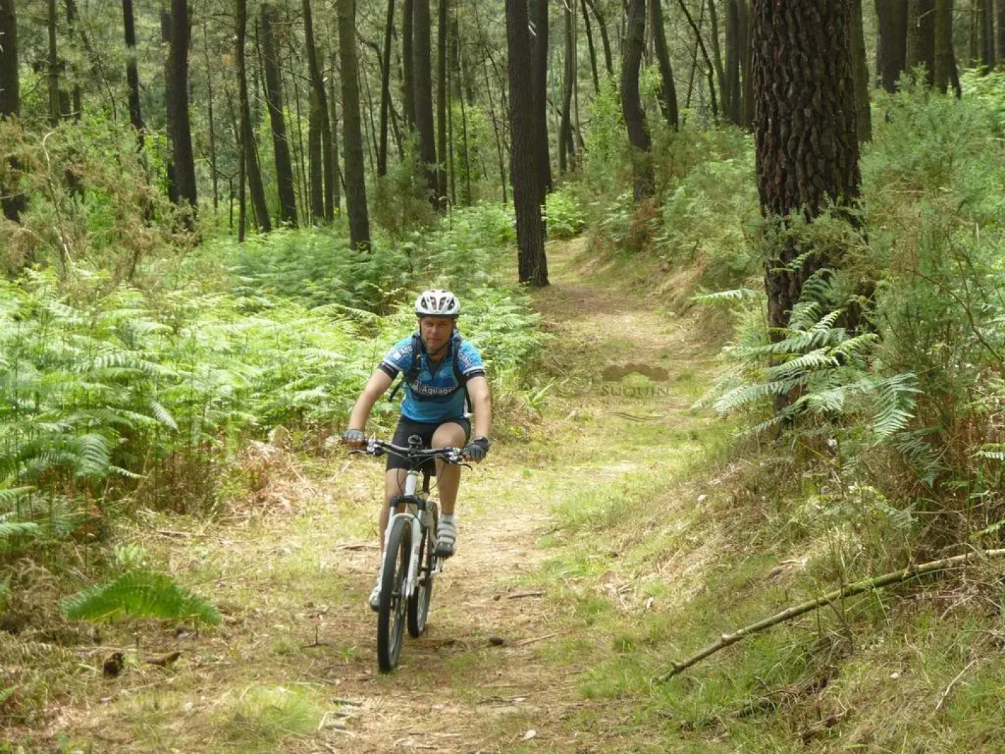 Turismo Rural Suquin