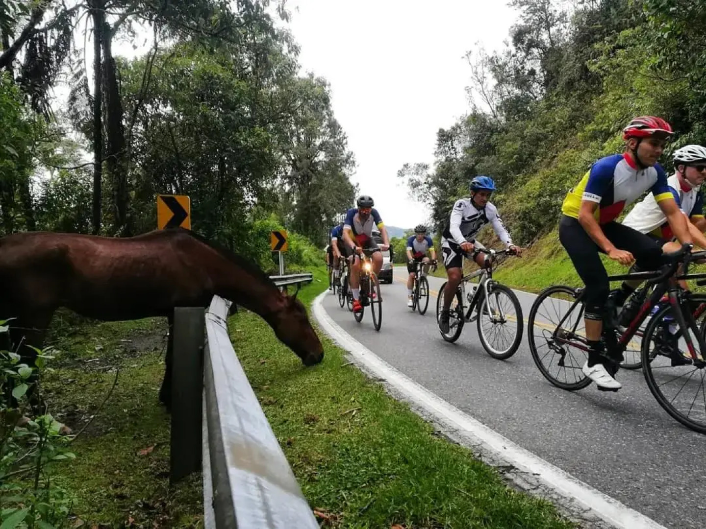 Casa du Velo Cycling Hotel