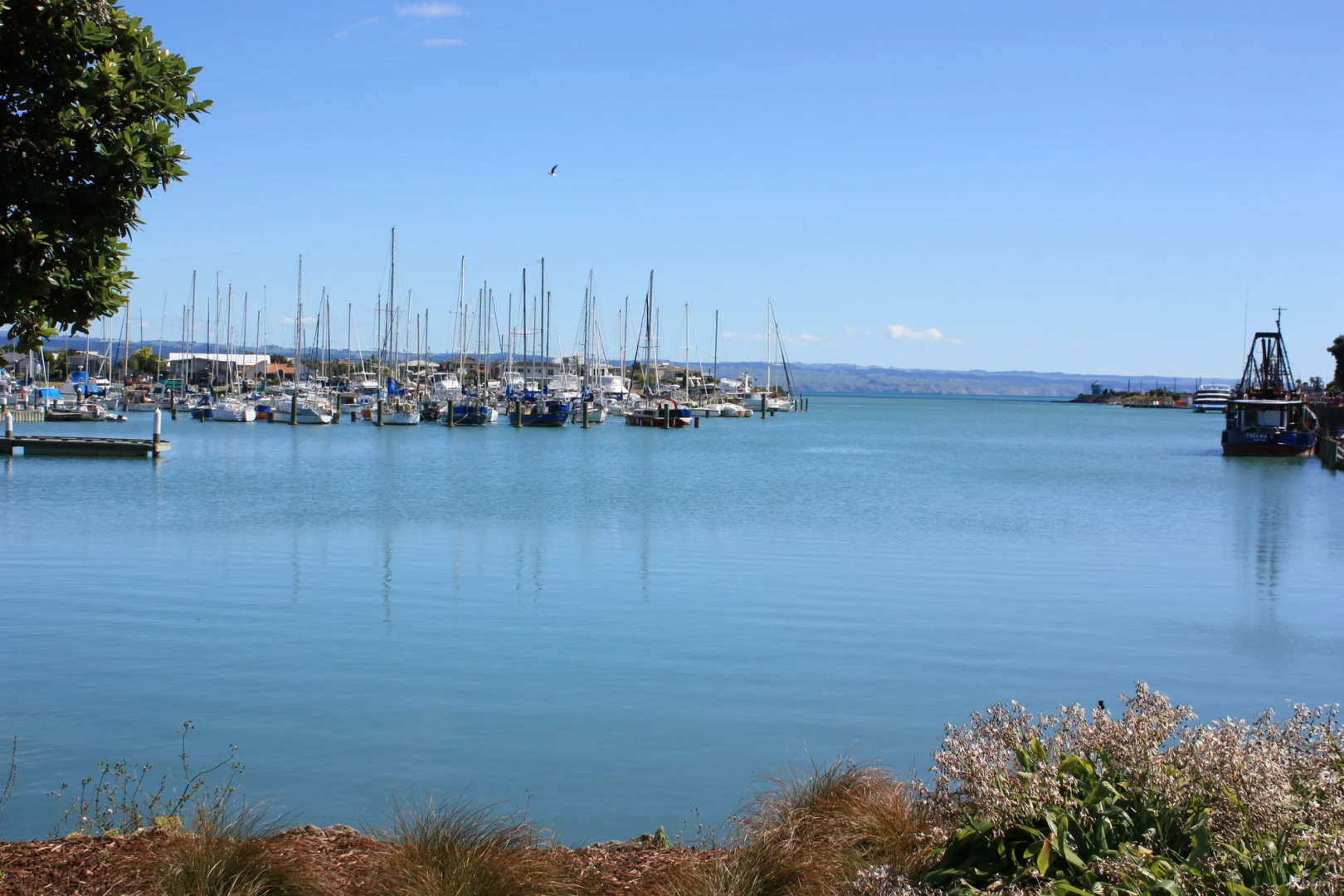 Anchorage Motor Lodge