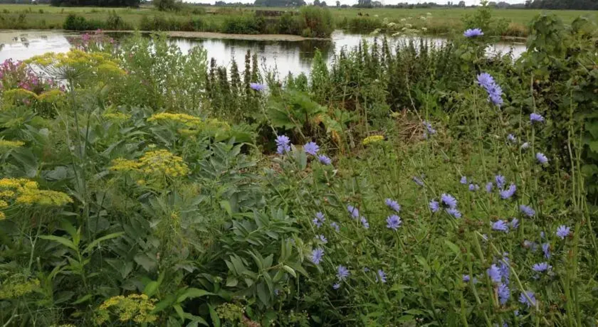 Holiday home Koetshuis de Polderruimte