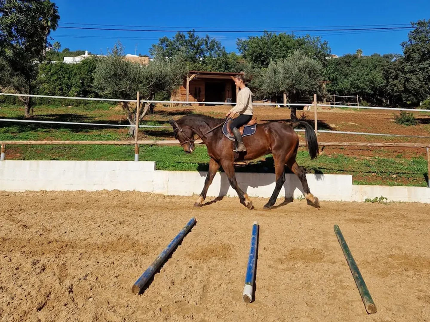 Tiny House Loulé Algarve no1