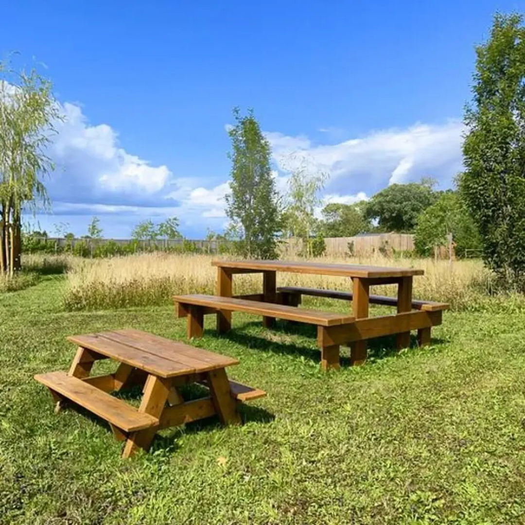 Beautiful 1-bed Cabin in Newmarket