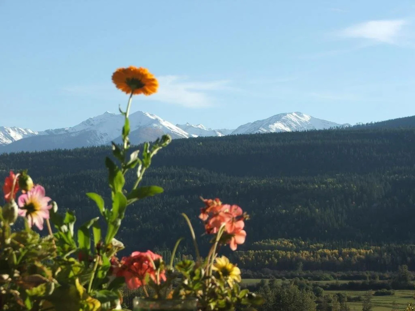 Alexa Chalets - Timber Inn & Restaurant