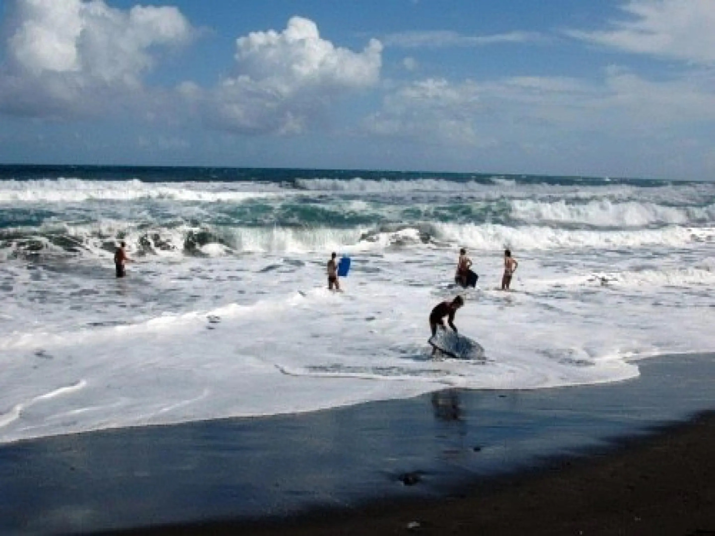 Dargaville Holiday Park